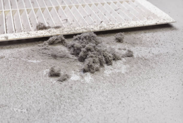 Best Dryer Vent Cleaning Services  in Occidental, CA