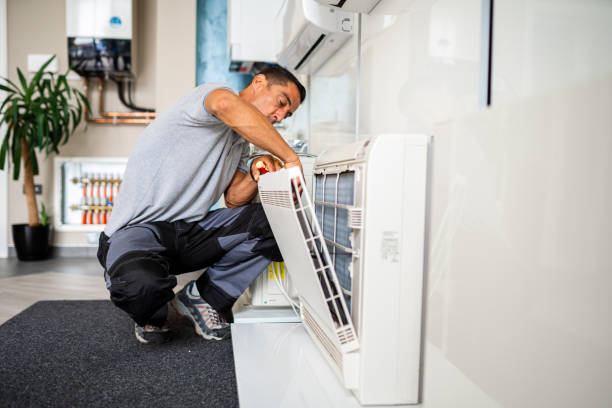 Best Affordable Duct Cleaning Services  in Occidental, CA