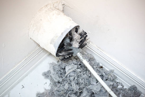 Best Professional Duct Cleaning Services  in Occidental, CA